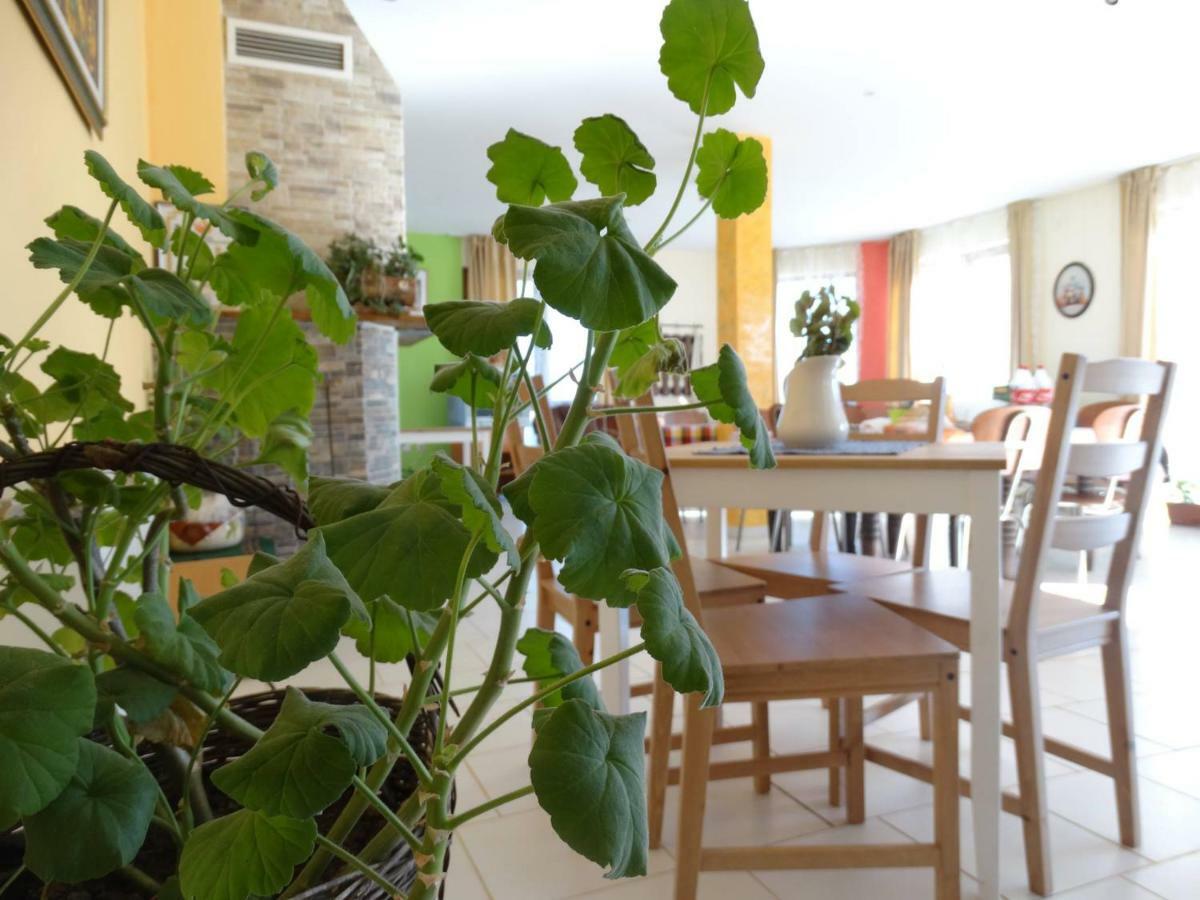 Guest House Misha Petrevene Εξωτερικό φωτογραφία